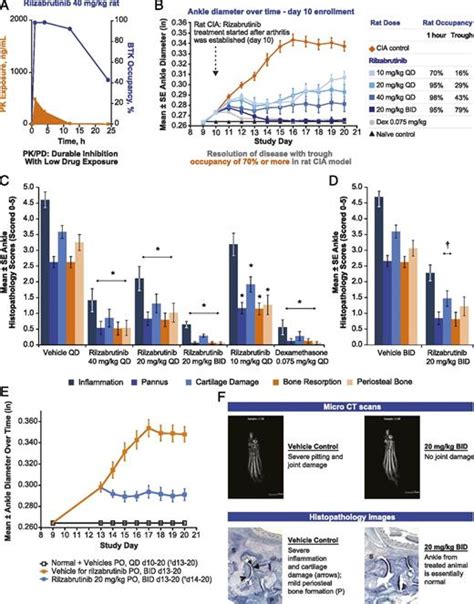 Preclinical Efficacy and Anti-Inflammatory Mechanisms of Action of the Bruton Tyrosine Kinase ...