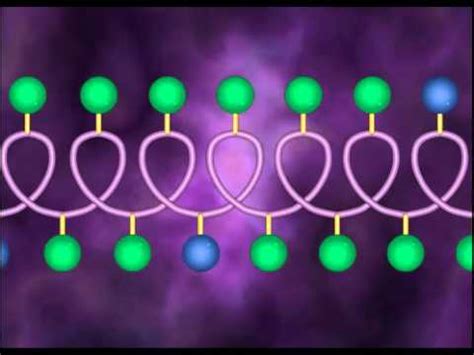 Protein Structure and Protein Denaturation HD Animation - YouTube