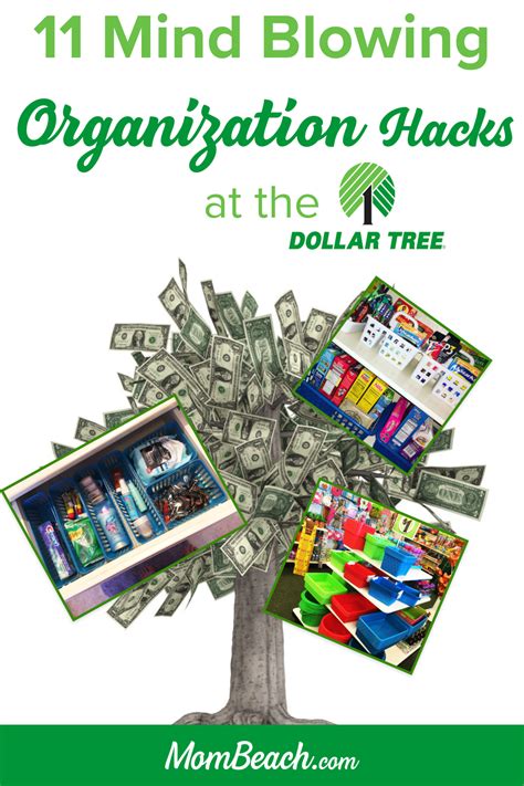 11 Mind- Blowing Dollar Tree Organization Hacks