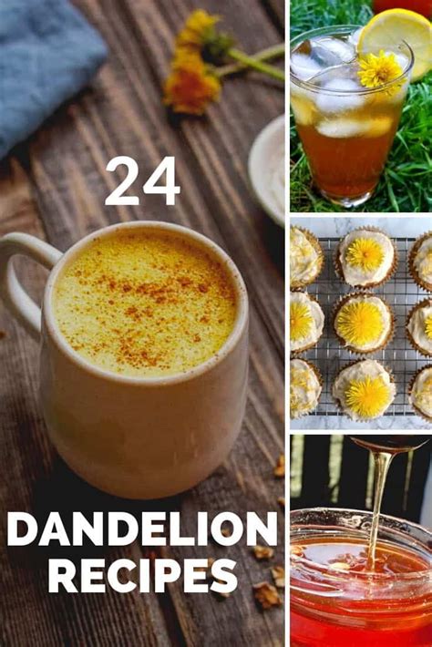 24 Dandelion Recipes + Foraging Tips