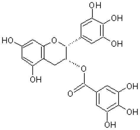 IJMS | Free Full-Text | Natural Biomolecules and Protein Aggregation: Emerging Strategies ...