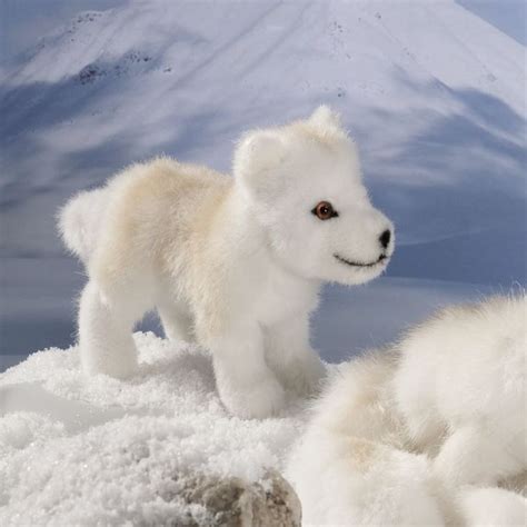 Arctic Wolf Puppies