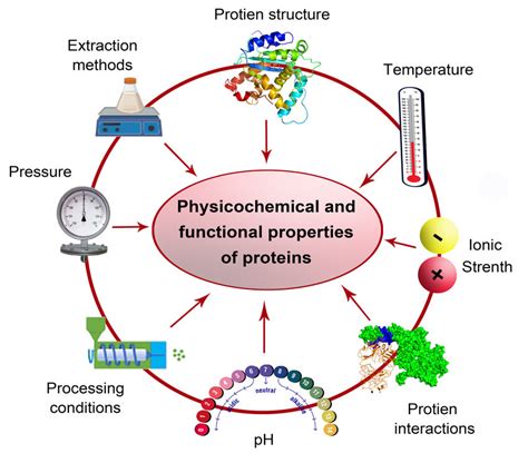 The potential environmental factors affecting the physicochemical and ...