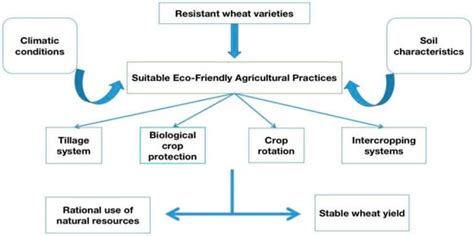 Agronomy | Free Full-Text | Contribution of Eco-Friendly Agricultural ...