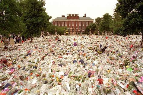 Princess Diana memorial garden opened at Kensington Palace