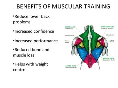 Endurance Training: Benefits Of Muscular Endurance Training