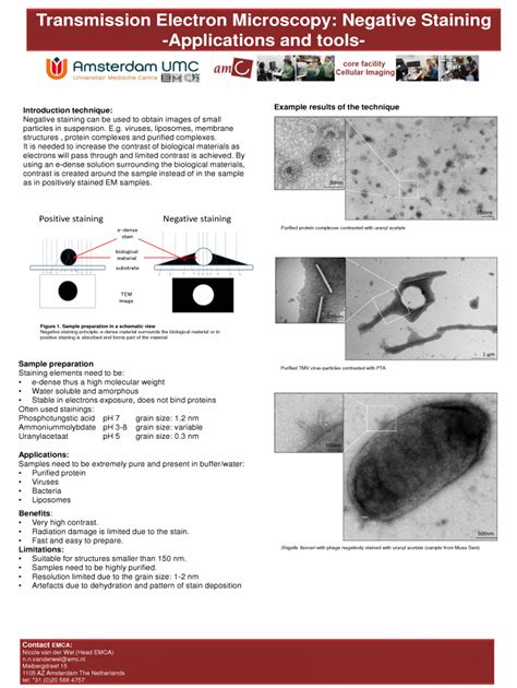 Negative Staining – Cellular Imaging