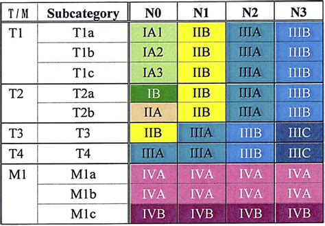 The eighth edition TNM stage classification for lung cancer: What does it mean on main street ...