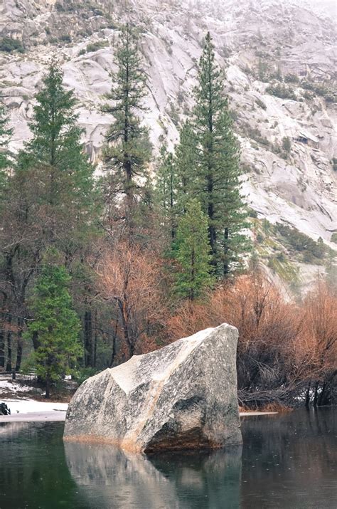 winter in yosemite national park -Life on Pine