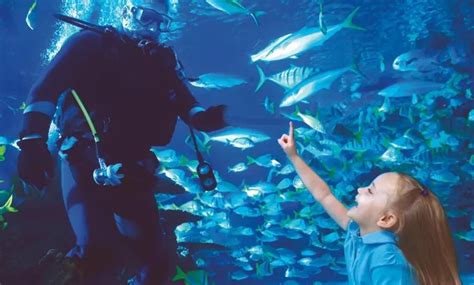 Houston Aquarium Discount Coupons| 4 Ways to Save!