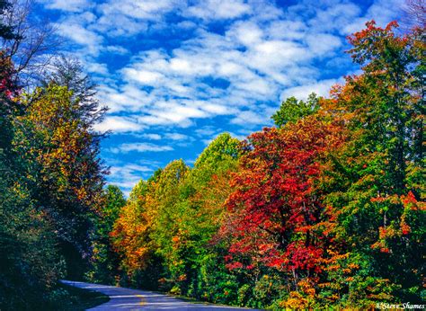 Shenandoah Fall Colors | Shenandoah National Park, Virginia | Steve Shames Photo Gallery