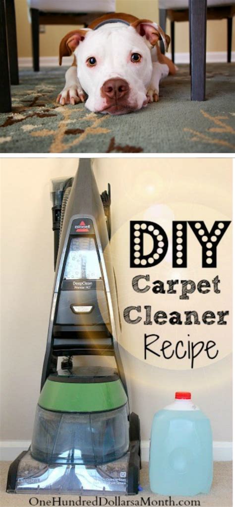 Tips for Steam Cleaning Carpets + My Favorite DIY Carpet Cleaner Recipe - One Hundred Dollars a ...