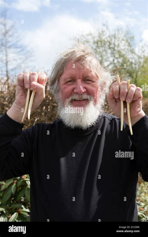 Man playing the musical bones, an Old folk instrument Stock Photo - Alamy