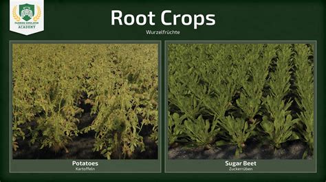 Farming Simulator 22: Different Crop Types | Overview | Guide