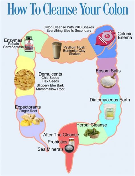 Best Natural Colon Cleanse - Herbal Remedies