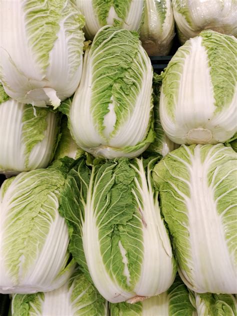 How to Grow Napa Cabbage (Chinese Cabbages) - HubPages