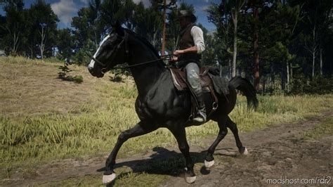 Dutch Warmblood Red Dead Redemption 2 Mod - ModsHost