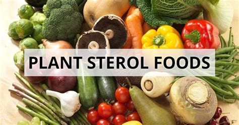 Best Plant Sterol Foods that Lower Cholesterol - Dr. Sam Robbins