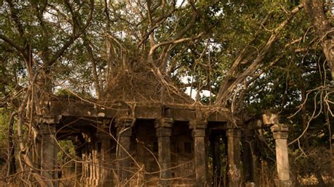 Bandhavgarh Fort - Bandhavgarh | Bandhavgarh Fort Photos, Sightseeing ...