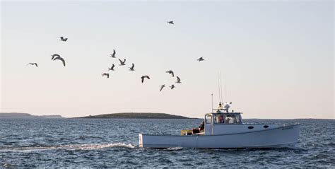 Take a Tour on a Lobster Boat - Maine Lobster