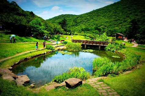 Vestiges of Kura-Kura: Erziping (Yangmingshan National Park) 二子坪 (陽明山國家公園)