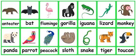 Jungle Animal flashcards + FREE Jungle background