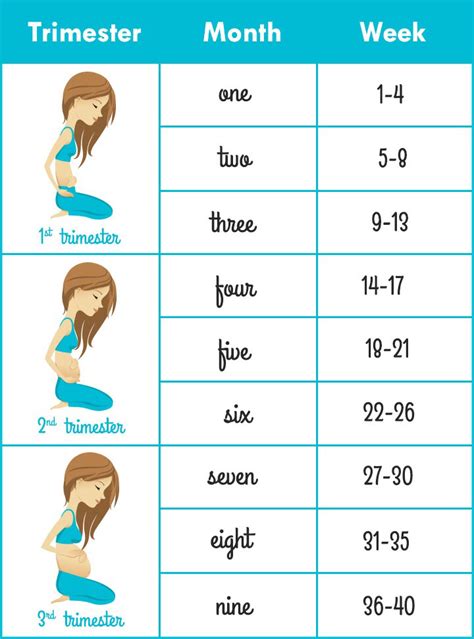 How Many Weeks Of Pregnancy Is 5 Months - PregnancyWalls