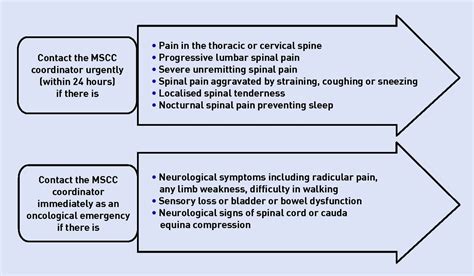 How not to miss metastatic spinal cord compression | British Journal of General Practice