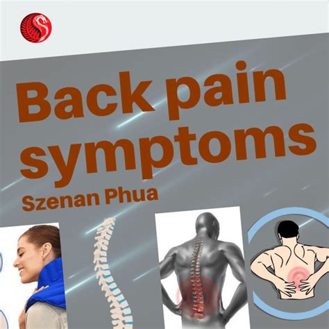 Back Pain Symptoms – Best Acupuncture Hamilton NZ