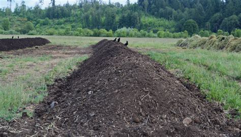 Pig Manure Composting Technology. Pig Manure Windrow Composting Methods/Process/Machine