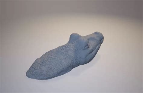 CROCODILE DOOR STOPPER 3D Printing Model - Threeding