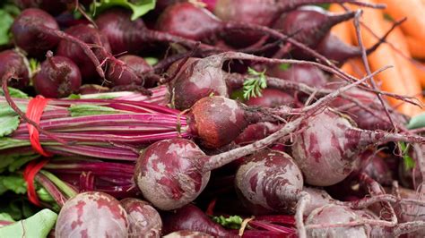 How And When To Harvest Beets