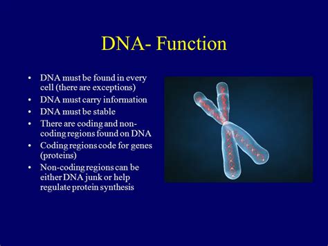 Dna Function