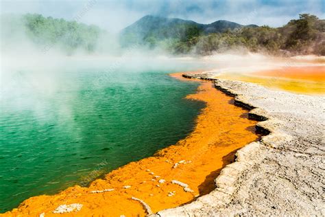 Champagne Pool, New Zealand - Stock Image - C035/6824 - Science Photo ...