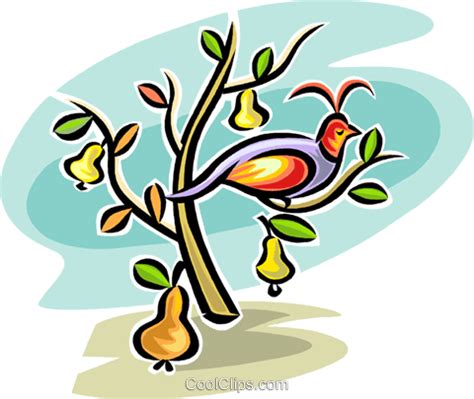 partridge in a pear tree clipart 10 free Cliparts | Download images on ...