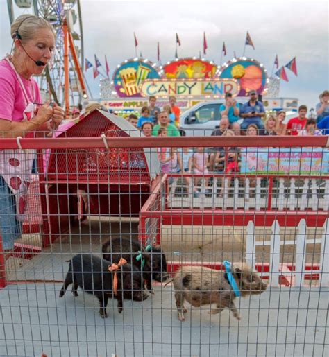 Allen County Fair returns July 24 | News, Sports, Jobs ...