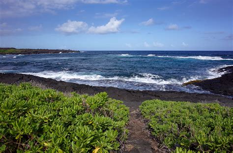 Punalu'u Black Sand Beach Driving Tour - Paradise in Hawaii