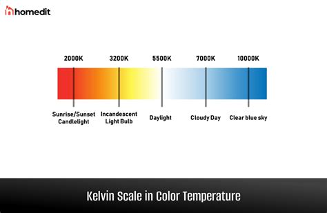 The Role of Color Temperature in Photography and Videography