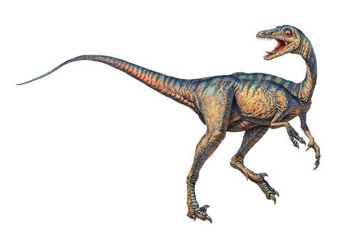 Troodon Pictures & Facts - The Dinosaur Database