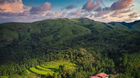 Chikmagalur Trekking Packages: Peaks and Trails Unveiled