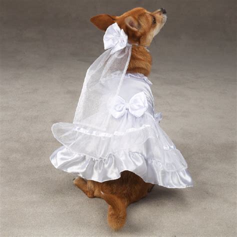 Dog Wedding Dress