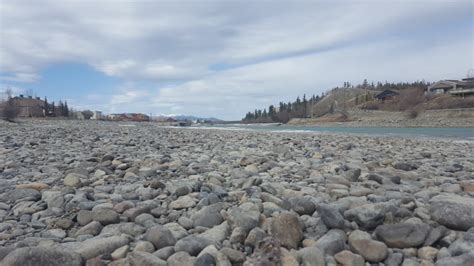 No spring flood in Yukon, where river levels are 'suprisingly low ...