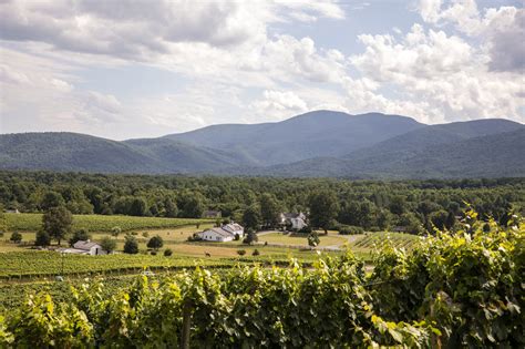 Veritas Vineyard | Visit Top-Rated Winery in Charlottesville, VA ...