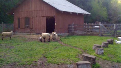 Deer Hollow Farm | Midpeninsula Regional Open Space District