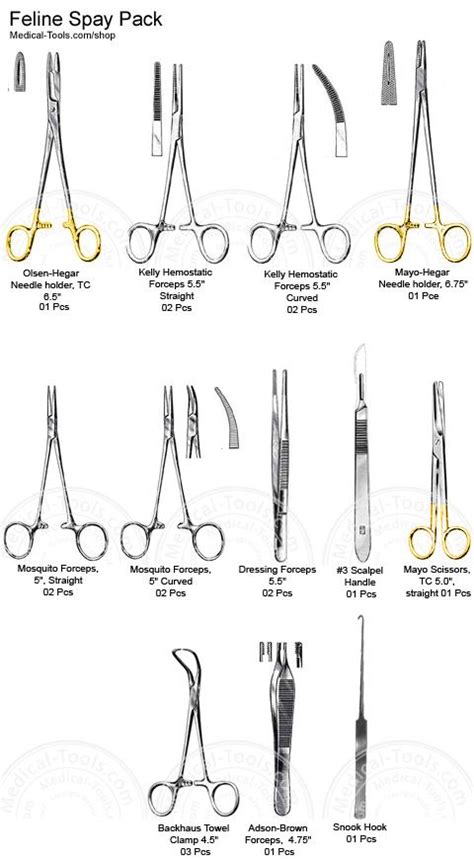 basic surgical instruments pictures and names pdf - So Perfect Vlog ...