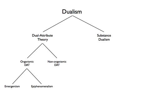 Philosophical Disquisitions: Philosophy of Mind: Mapping the ...