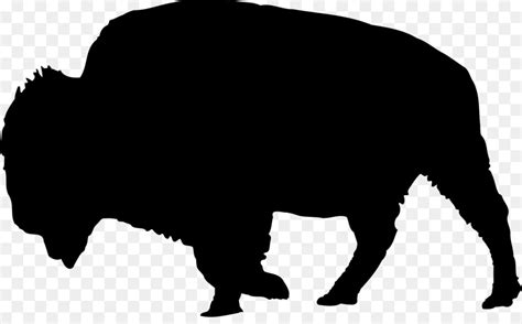 American bison Water buffalo Cattle African buffalo Drawing - Bull Head ...