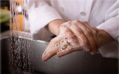 The Importance of Food Safety and Sanitation