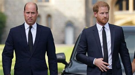 Prince Harry, Prince William had ‘extended negotiations’ before ...