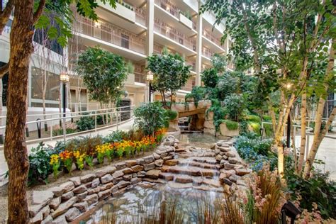 Indoor Atrium Trees & Plants at Senior Living Community | TreeScapes ...